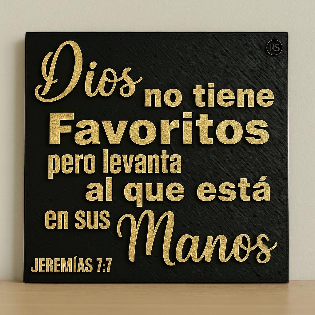 Placa: DIOS NO TIENE FAVORITOS PERO LEVANTA AL QUE ESTA EN SUS MANOS - Made in USA