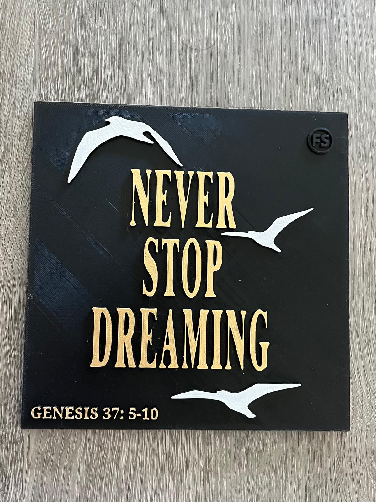 Plaque: NEVER STOP DREAMING - Made in USA