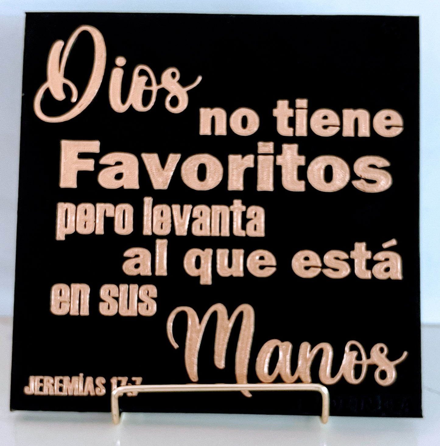 PLAQUE: DIOS NO TIENE FAVORITOS PERO LEVANTA AL QUE ESTA EN SUS MANOS