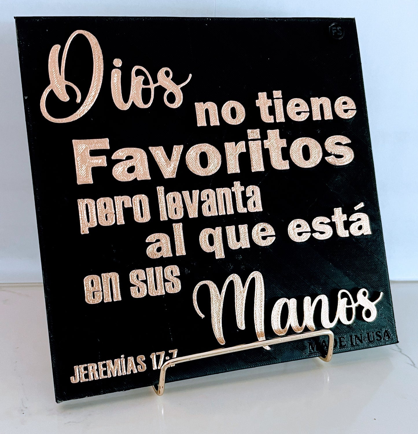 PLAQUE: DIOS NO TIENE FAVORITOS PERO LEVANTA AL QUE ESTA EN SUS MANOS