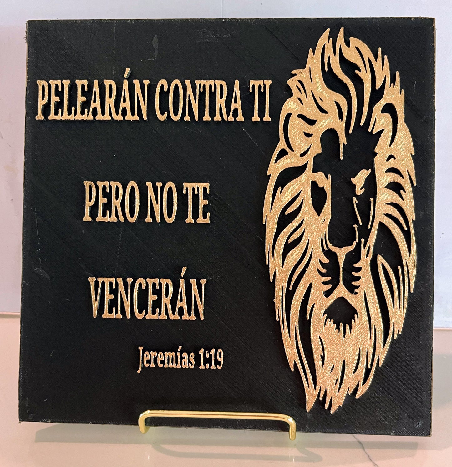 PLAQUE: PELEARAN CONTRA TI PERO NO TE VENCERAN - LEON