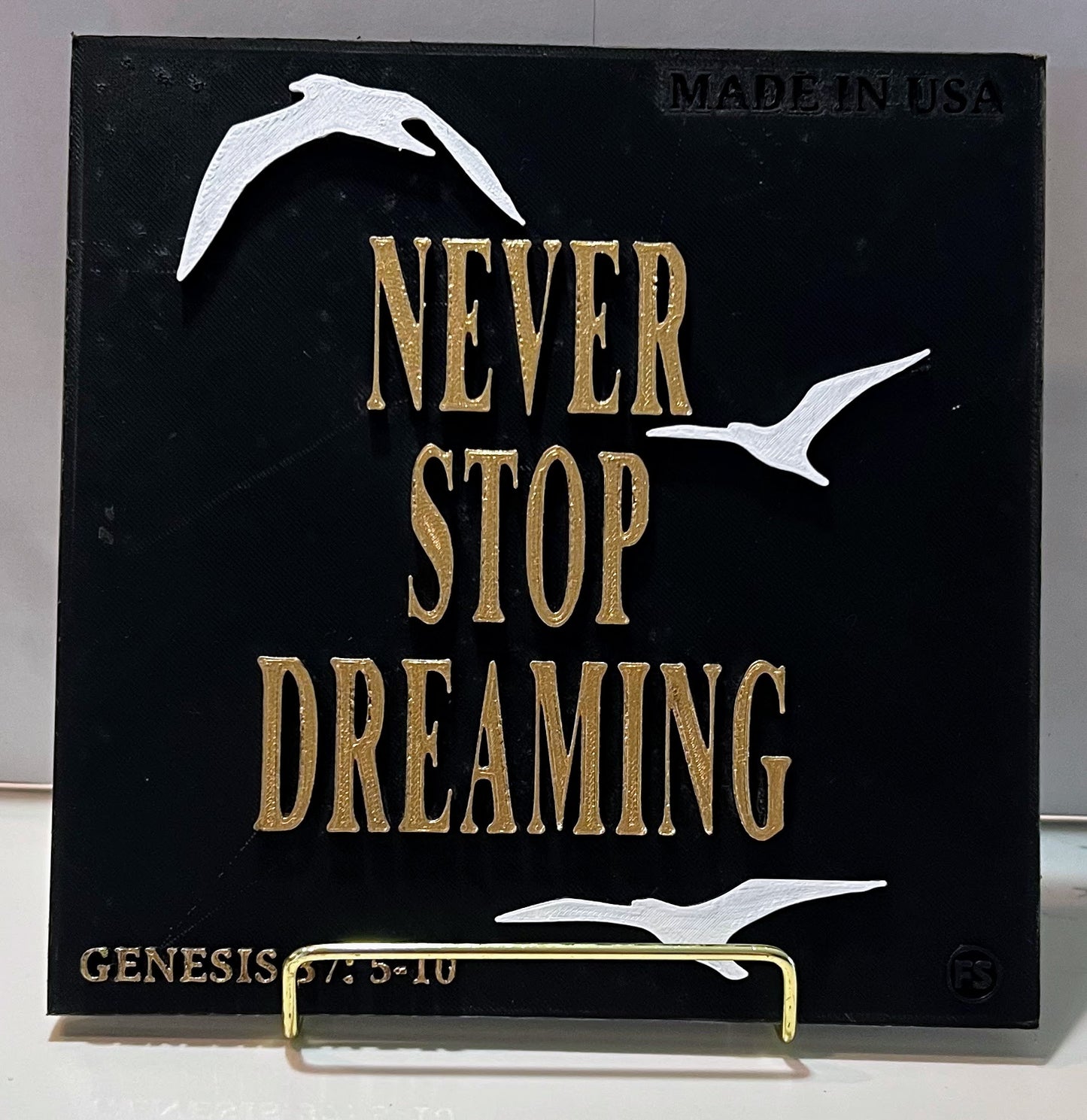 PLAQUE: NEVER STOP DREAMING