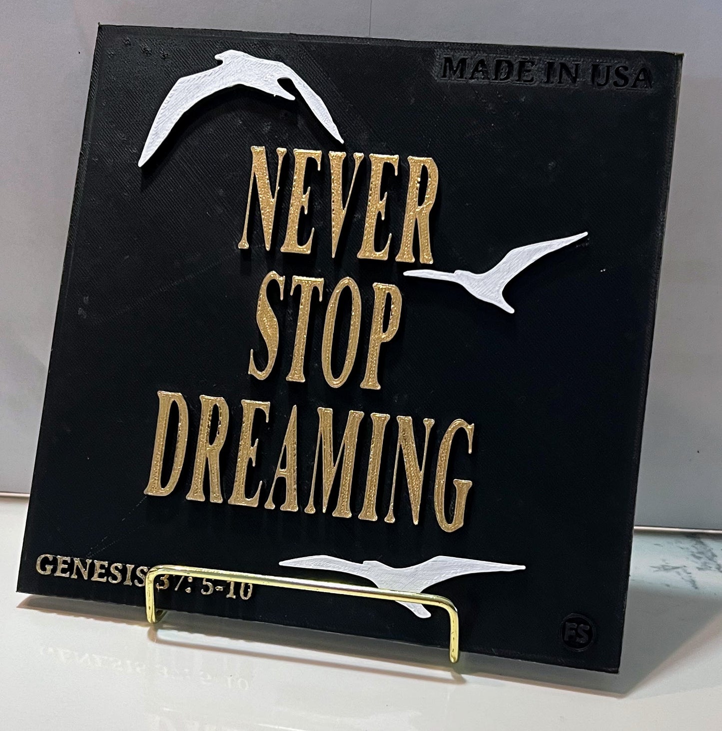 PLAQUE: NEVER STOP DREAMING